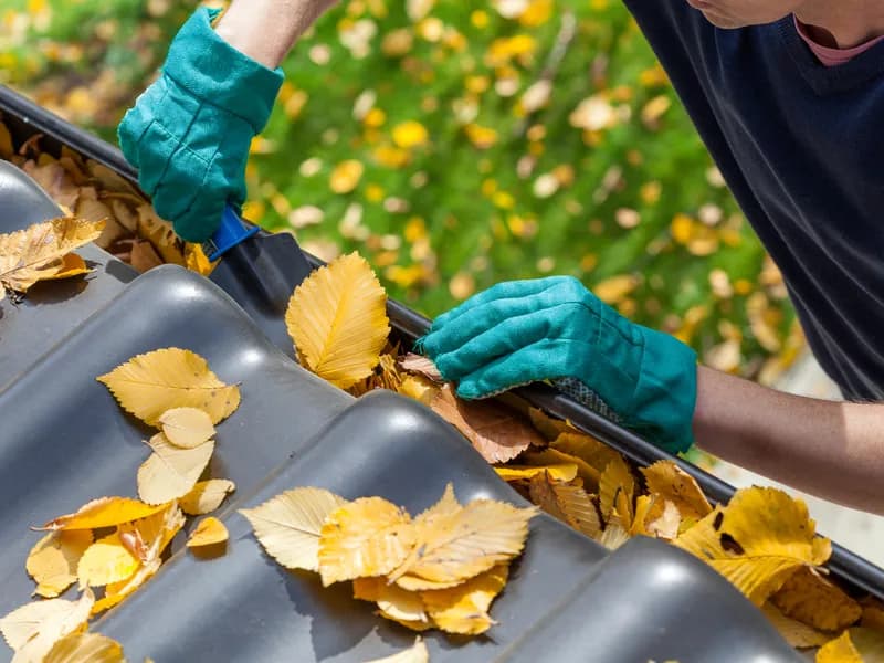 Warning Signs of Clogged Gutters